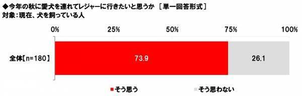 ホンダアクセス調べ　愛犬とのドライブが似合うと思う芸能人　男性芸能人1位「木村拓哉さん」 2位「坂上忍さん」、女性芸能人1位「森泉さん」 2位「広瀬すずさん」