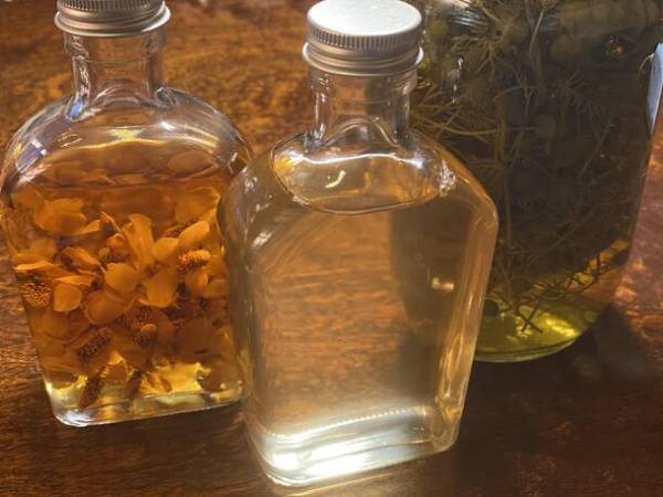 島根の食や人に触れ、つながる。広島・JR宮島口駅前で「しまねとつながるマルシェ」開催