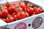 大阪のゴム製造会社が農業参入して栽培した機能性表示食品登録「Tricho(トリコ)」トマトの試食販売会を11月4日・5日に伊勢丹新宿店で実施