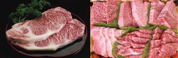 東武百貨店 池袋本店の2024年福袋のテーマは、「家計を応援！「集い」・「食」・「体験」推し！」　豪華でお得なボリューム満点福袋や体験型福袋などを展開