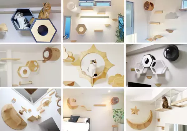 【株式会社セラフ榎本】人気キャットステップメーカーの代理店として購入から施工までワンストップの販売サイトをオープン