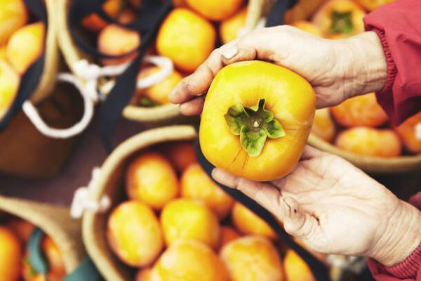 ＜東京で奈良を知る「奈良まほろば館」11月イベント案内＞　徳島県「TurnTable」×奈良県「奈良まほろば館」コラボフェア　JR東海「いざいざ奈良」連携イベントや奈良の柿イベントなど