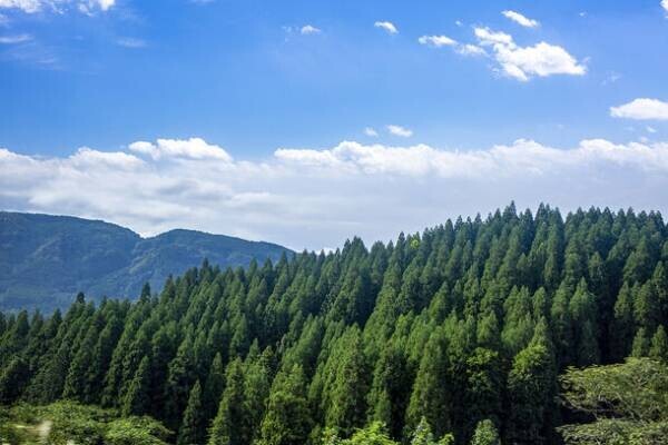全国森林組合連合会は厚生労働省の委託事業として令和5年12月2日(土)、東京国際フォーラムにて無料・林業就業相談会(1日コース)を開催