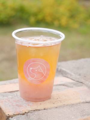 美味しさに「和(わ)」っと驚く新スイーツが渋谷の「ハチふる」に登場！！