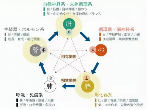 10月10日“目の愛護デー”に合わせて開催した「眼精疲労」スポット鍼イベントに8日間で63名が参加