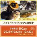 埼玉の保護猫シェルター「ねこひげハウス」新シェルターへの引越しと保護活動維持のためクラウドファンディングを開始