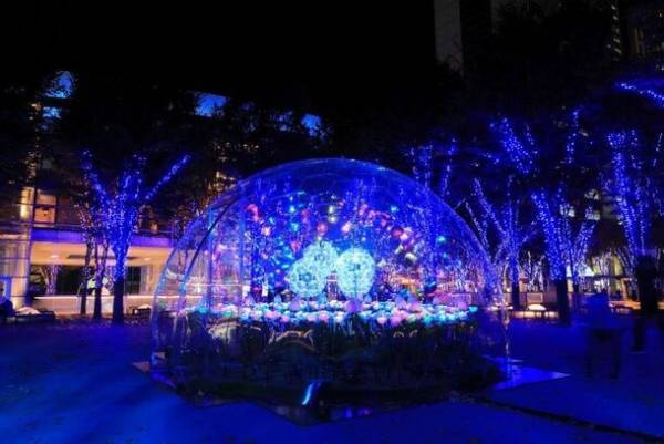 「たまアリ△タウン けやきひろばイルミネーション2023-24」　11月11日にYouTuberピアニストのよみぃさんを迎え点灯セレモニーとライブパフォーマンスを実施！