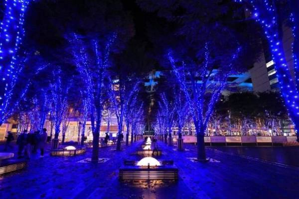 「たまアリ△タウン けやきひろばイルミネーション2023-24」　11月11日にYouTuberピアニストのよみぃさんを迎え点灯セレモニーとライブパフォーマンスを実施！