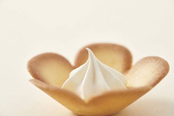 東海道新幹線　車内サービスリニューアル企画【11月限定】　グリーン車でのコーヒー注文で“大阪花ラング”をプレゼント！