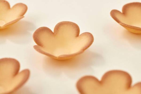 東海道新幹線　車内サービスリニューアル企画【11月限定】　グリーン車でのコーヒー注文で“大阪花ラング”をプレゼント！