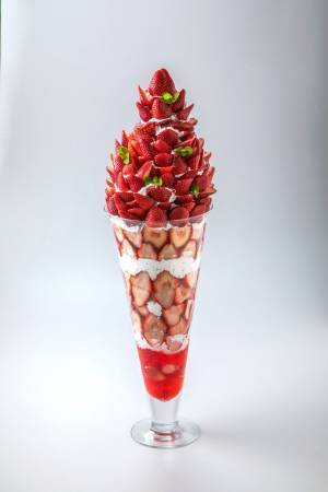 栃木県小山市「いちごの里」のカフェにて、平日1日1個限定・完全予約制の超巨大パフェ「メガいちごパフェ」を12月1日に発売
