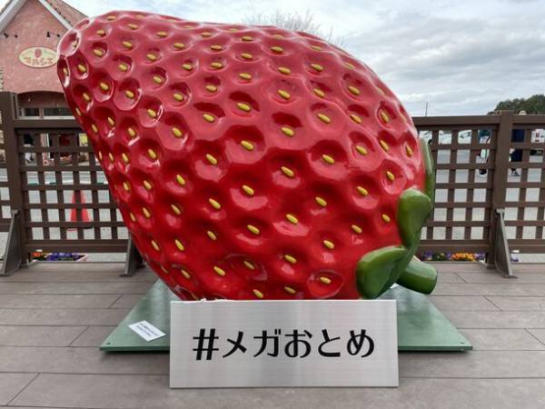 栃木県小山市「いちごの里」のカフェにて、平日1日1個限定・完全予約制の超巨大パフェ「メガいちごパフェ」を12月1日に発売