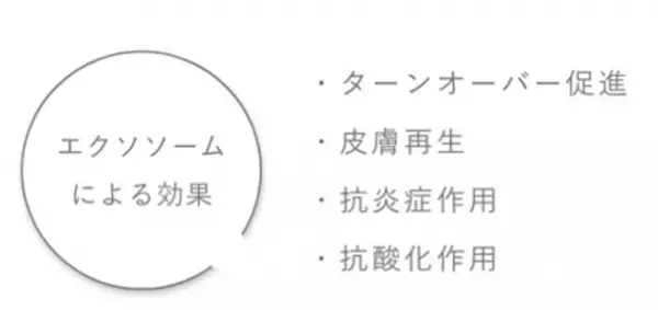 エステサロン開発のシェアコスメ　エクソソーム×スピキュール配合「CELLNAGE」　2023年11月20日発売