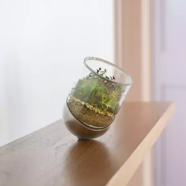 ライフスタイルブランド「FeVita」のポップアップショップを期間限定で11月29日(水)より大丸東京店に初出店！