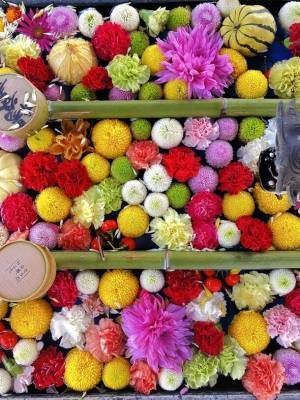 紅葉イベントを京都「柳谷観音」にて11/11(土)～12/3(日)開催　SNSで人気の“花手水”発祥の地　ライトアップ、上書院特別公開、限定御朱印も登場