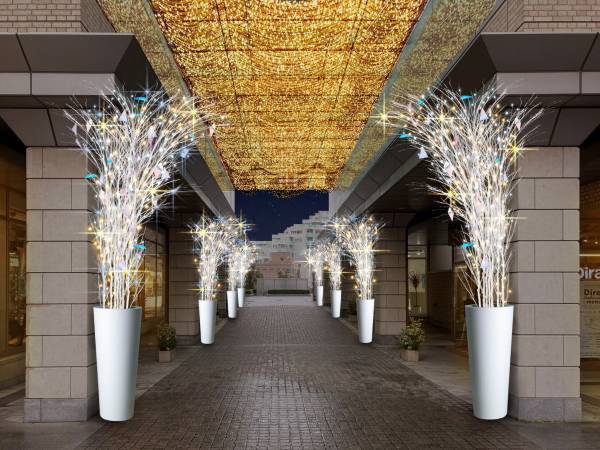 代官山に神秘的な明かりが灯るオーロラドームが登場！代官山アドレス・ディセ 冬のイルミネーション