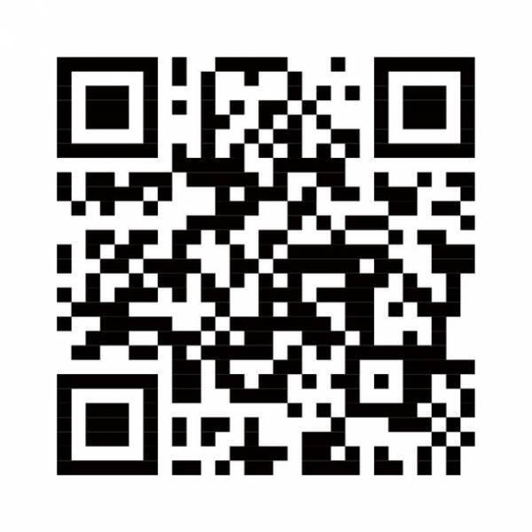 2025年大阪・関西万博へ続く、花のカーペット。「Osaka Flower Carpet 2023」開催！2023年11月23日(木・祝)～11月26日(日)