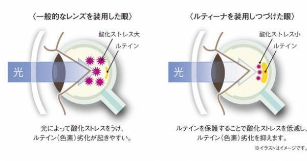 眼の健康を守るレンズ「ルティーナ」シリーズ　玉木宏さんを起用した新CMが完成！総額100万円が当たる「ルティーナWチャンスキャンペーン」を11月21日より開催