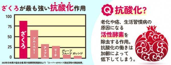 シナリー化粧品がイラン産100％ストレート果汁の「ざくろストレートじゅーす」を数量限定販売！