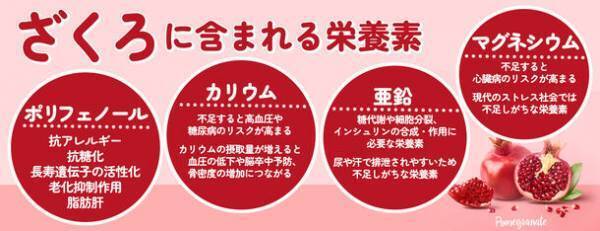 シナリー化粧品がイラン産100％ストレート果汁の「ざくろストレートじゅーす」を数量限定販売！