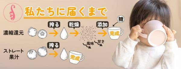 シナリー化粧品がイラン産100％ストレート果汁の「ざくろストレートじゅーす」を数量限定販売！