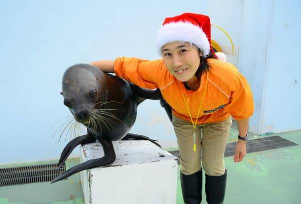 しながわ水族館がクリスマスイベントを11月22日より開催　雪のように舞うクラゲと記念撮影やデンキウナギのクリスマスツリーも登場！