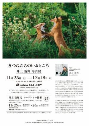 写真家 井上浩輝の写真展「きつねたちのいるところ」をレオフォトショールームにて11月25日(土)～12月18日(月)開催！