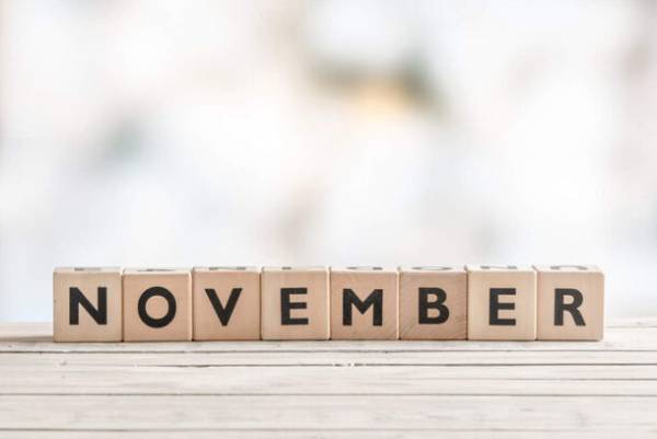 11月のプロポーズは11月22日「いい夫婦の日」が1位！人気のプロポーズの花束はバラ　プロポーズの月別アンケート調査を実施