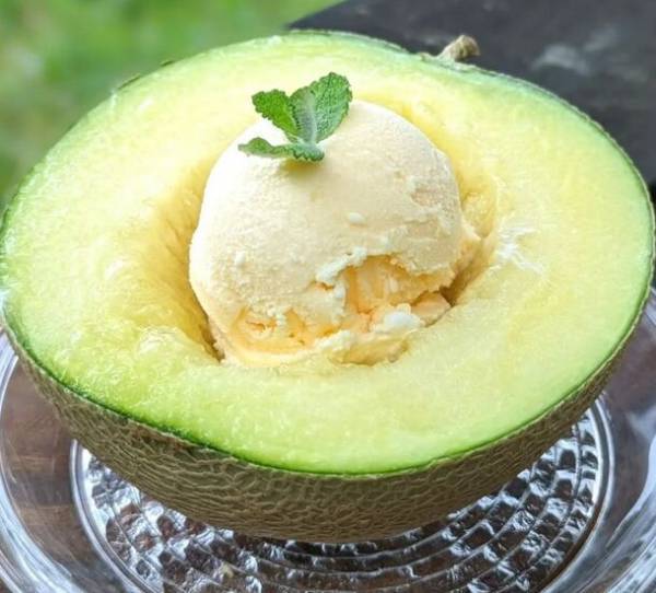 【東京・町田市】町田薬師池公園四季彩の杜にて「秋遊び2023」を10月28日(土)～11月30日(木)開催中！