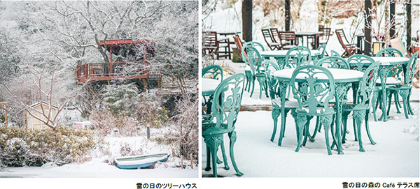 ROKKO森の音ミュージアムSIKIガーデンWinterSeason雪の日の土日祝限定「ウィンターガーデン雪の日さんぽ」も開催2023年12月16日（土）～2024年2月25日（日）