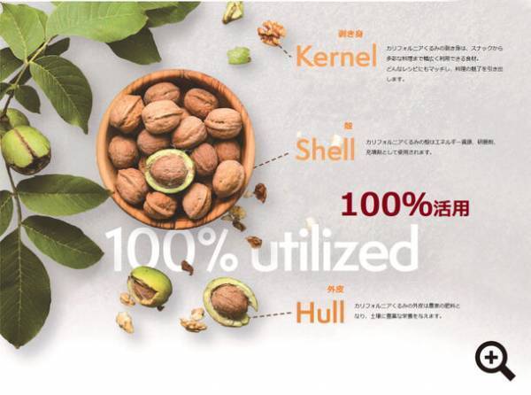 CRISP SALAD WORKSと初コラボ！“カリフォルニア産くるみフェア”を11月16日(木)より開催