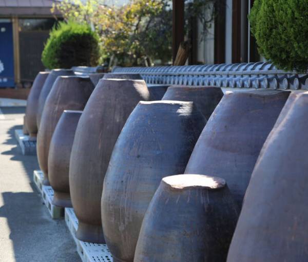 2,500名以上の方に食べ痩せメソッド「瞬食」を伝授するベルラスがりんご酢を開発