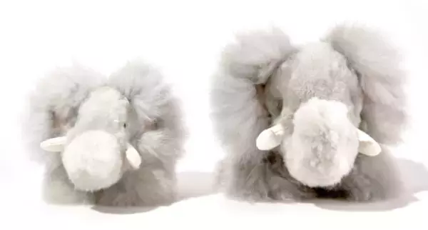 日本初上陸！幸せを運ぶアルパカの天然毛で作った愛らしい“ぬいぐるみ”「INJOI」12月17日(日)より有楽町マルイにて期間限定販売