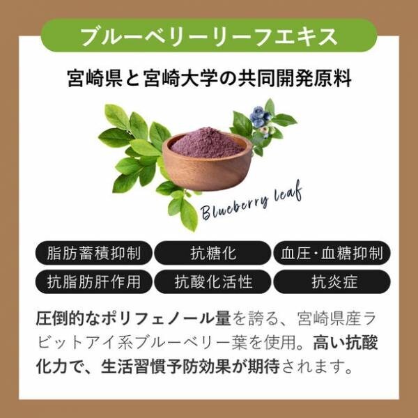 「ネスタイル メイクビューティープロテイン」日本初、美と健康に特化した“ブルーベリー葉”を配合！11月15日(水)より予約販売開始