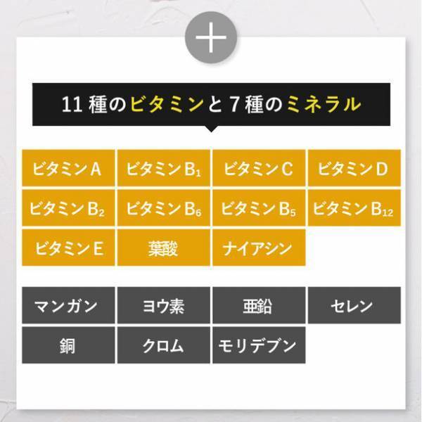 「ネスタイル メイクビューティープロテイン」日本初、美と健康に特化した“ブルーベリー葉”を配合！11月15日(水)より予約販売開始