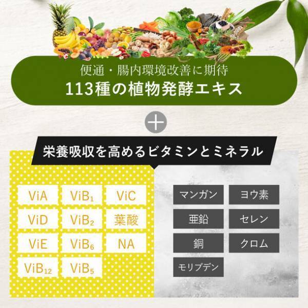 「ネスタイル メイクビューティープロテイン」日本初、美と健康に特化した“ブルーベリー葉”を配合！11月15日(水)より予約販売開始