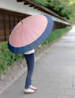 和の雰囲気を楽しめる、24本骨蛇の目傘がリニューアルして新登場！