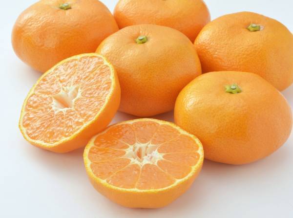 【近鉄百貨店 四日市店】魅力あふれる三重の40店舗が大集合！みえアツマル物産展 ｉｎ 近鉄四日市