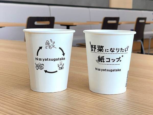循環型社会に貢献！使用後に堆肥化する紙コップ「BioPBS紙コップ」を11月より発売