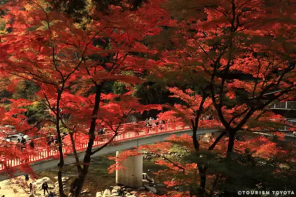 “紅葉と迫力満点の競技”「TGRラリーチャレンジ2023 in豊田」が11月25日(土)・26日(日)開催！お得なチケットをWEBサイトで販売