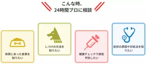 高齢化問題がペット社会にも到来、獣医療のニーズが急増中！LINEで専門家に相談し放題のサービスがリリース