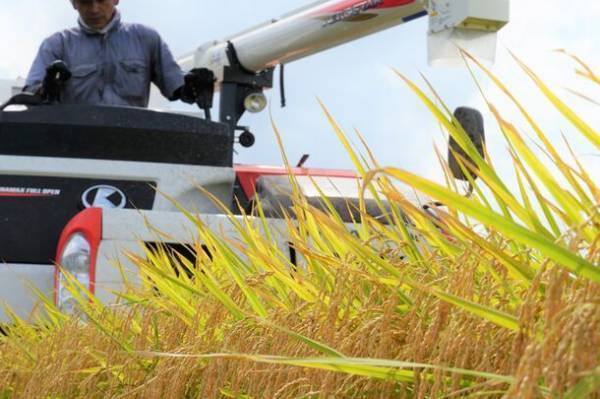 ホテルメトロポリタン プレミア 台北「秋田県美食フェア」を開催　日本料理「はや瀬」×「爛漫秋田銘醸の宴」