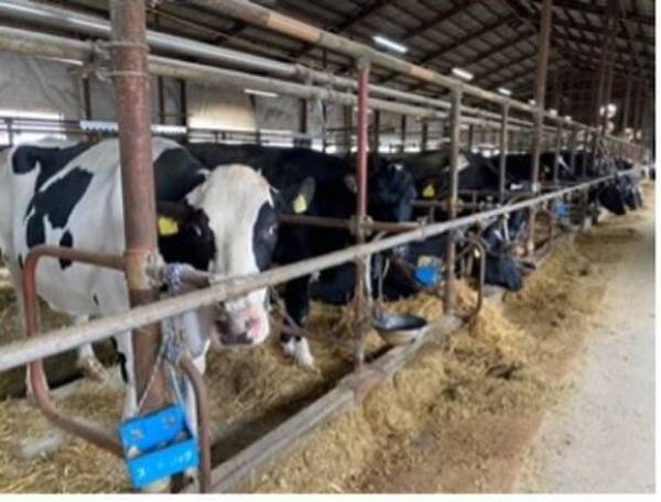 最速30秒提供　牛農家直営のすぐ出る煮込みハンバーグのお店をイオン札幌桑園ショッピングセンターにオープン！