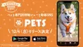 ペット専門招待制ショート動画SNSアプリ「PETS」が新登場！先着500名様限定で事前登録受付を12月3日 23:59まで実施