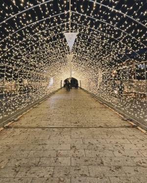 「もりおかイルミネーションブライト2023-2024」　盛岡市中心市街地エリアで2024年2月29日(木)まで開催