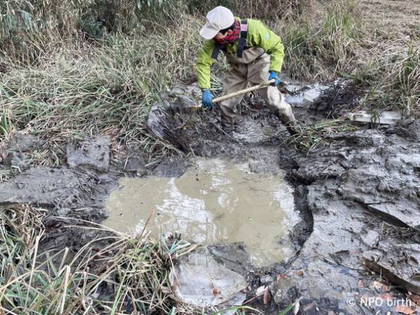 都立公園で東京都絶滅種「ヤナギスブタ」の復活を確認　～狭山丘陵パートナーズによる湿地再生プロジェクト～