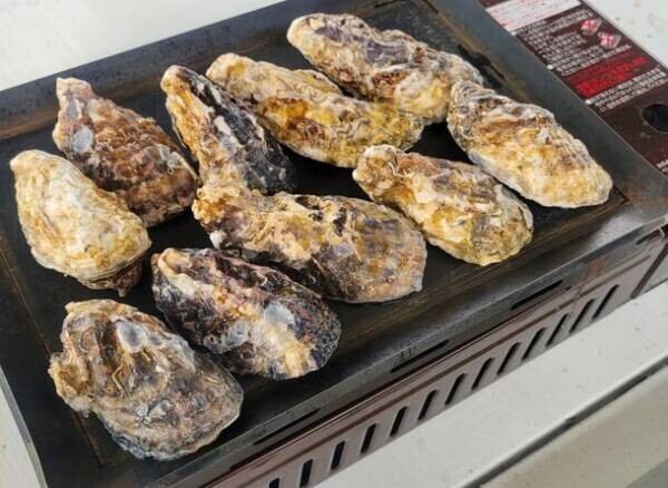 シーズン到来！フェリー跡地「淡路島タコステ」にて旬の牡蠣に舌鼓　「牡蠣食べ放題」を12月1日より提供開始