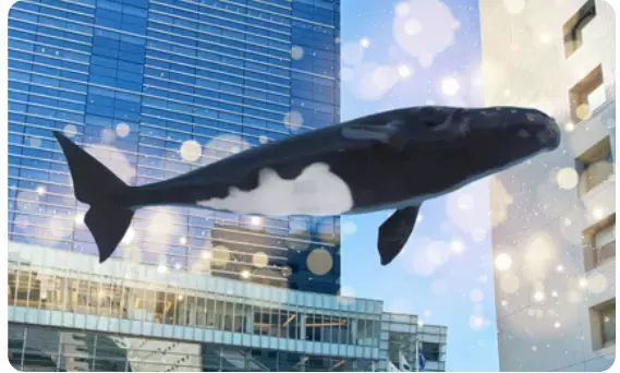 品川港南エリアにおけるXRを活用した回遊性向上の取り組みについて