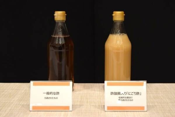免疫力向上の新たな一手に、日本の伝統「にごり酢」　この冬知っておくべき「酢酸菌」の5つの健康作用を紹介