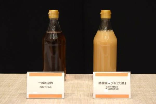 免疫力向上の新たな一手に、日本の伝統「にごり酢」　この冬知っておくべき「酢酸菌」の5つの健康作用を紹介
